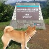 国立公園と柴犬館長…