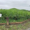 二子山古墳 (再訪)  行田市埼玉