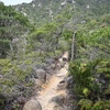 山行記　右田ヶ岳　塚原ルート往復