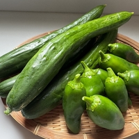 キュウリのキューちゃん漬けを作りました🥒