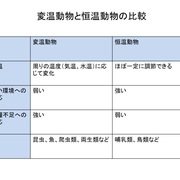 記事一覧 12ページ目 ネイチャーエンジニア いきものブログ