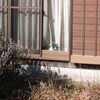 水曜日が待ち遠しい