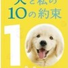 「犬と私の10の約束」を観た