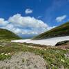 高山植物が咲き誇る夏の黒岳石室！約2時間の登山で真夏から残雪の世界へ【北海道】