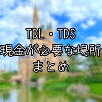 目指せディズニーマスター Dオタ用語まとめ129選 究極雨女ほのぷーのディズニー放浪記