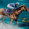 ［地方競馬］Jpn３ブルーバードカップ２０２５サイン考察①※出走馬馬名由来＆うまカルテット