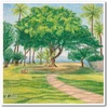 ホノルルのマカレイビーチパークの絵が完成しました〜いつかハワイに住みたいな〜