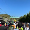 【フィットネス】瀬戸内しまのわマラソン　in　GoGoSHIMAに参加して10キロマラソン走ってきました！！