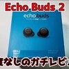 【Amazon】Echo Buds 2をブラックフライデーで入手したので実機レビュー！ノイズキャンセリングにクセがあるがコスパはいい！【ワイヤレスイヤホン】