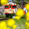 春のいすみ鉄道。