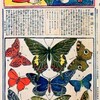 杉浦非水は、1908（明治41）年東京中央新聞に在籍したまま、三越呉服店に嘱託として入社する。日本初の百貨店（デパートメントストア）であり、三井財閥の礎を築いた企業である。非水はこの三越呉服店（現三越百貨店）を舞台として、明治末期から大正、昭和にわたって活躍をし、時代を代表するデザイナーへと成長していく。