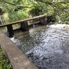 あちこちで大雨