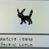 『VCポケモン金銀』をやり直す その５【攻略プレイ日記】