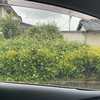 7月24日_写真展に向けて