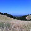 Fremont Older Open Space Preserve