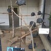 はじめての動物園