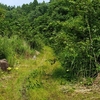 山口林道【岩手県一関市室根町矢越】