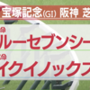 潜水艦にCFRPはやめようね & 宝塚記念最終予想