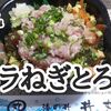 【丼丸（どんまる）⑫】おすすめメニュー 「バラねぎとろ丼」超うまい…おつまみめし！※YouTube動画あり