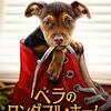 ベラのワンダフル・ホーム　A Dog's Way Home　（2019）