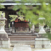 早朝散歩 京都 吉田山　Takumar 105mm F2.8、FUJINON -W 35mm F2.8試写結果は？