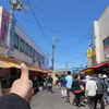 札幌～函館・・超過密旅行２４時　第一章　函館場外市場のイカの釣堀～湯の川植物園。