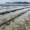 【鹿児島1日目】青島、亜熱帯植物園、黒豚トンカツ