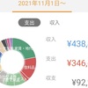 2021年11月分の家計簿公開！！