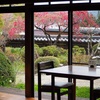 花吹雪と山桜。