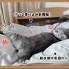 でも、愛してる。無条件で愛してる。