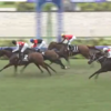 ７月１２日（土）　勝負・注目レース結果　ー馬連8,500円的中！