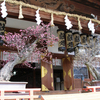 「全国神社お参り旅」大阪市北区～大阪天満宮