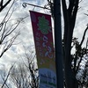 （紹介：施設）花見が近いぞ朝の新宿中央公園の状況を紹介します