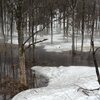 雪解けの霧