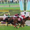 ＪＲＡ　穴馬予想【フローラステークスＧⅡ＆マイラーズカップＧⅡ】うまたつ競馬　４月２３日（日）