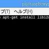 【Raspberry pi】WiringPiを使ってC言語でGPIO操作