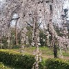 月曜日、晴れ。