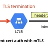 GKEをバックエンドに持つGCPのLBでmTLS機能を使う