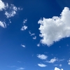私の夏休み
