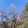 最近、つくづく 歳をとったな〜と感じていること