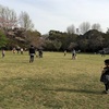 お花見 5日目 柏の葉公園 桜の広場
