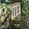 残っているうちに
