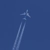 高空の飛行機｜下面にも...