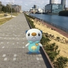 いつもの公園でお昼