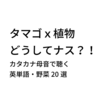 カタカタ母音で聴いてみよう ～英単語・野菜20選～