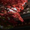 北鎌倉の紅葉