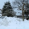 さらに雪です