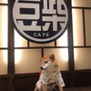 【浅草】「豆柴カフェ」で豆柴犬と戯れる・・！