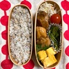 20220516鶏の照り焼き弁当＆泣くよ！