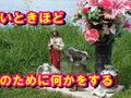 【再掲】辛い時ほど人のために何かをすること～「自分の殻を破る」一つの手段として